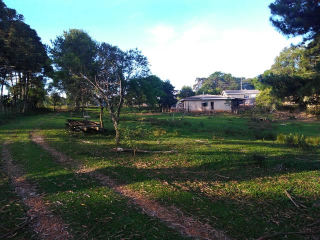 Chácara de 8.000 m² .R$ 400.000,00 Guarapuava PR - Foto 4