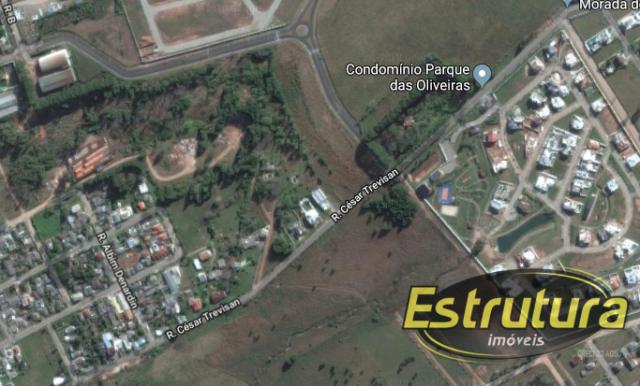 Terreno à venda em Tomazetti, Santa maria cod:53729