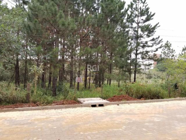 Terreno à venda em Centro, Nova santa rita cod:BD3719 - Foto 3