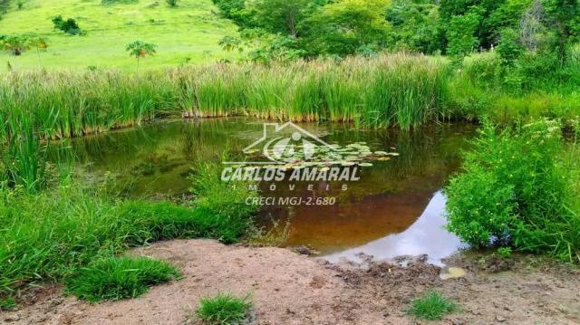 Fazenda à venda, , zona rural - carlos chagas/mg - Foto 12