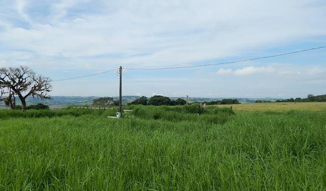 Otima fazenda com 73 alqueires na regiao de itapetininga - Foto 15