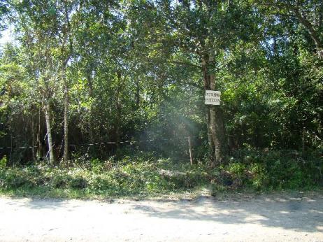 Terreno à venda em Centro, Mongaguá cod:120817 - Foto 3