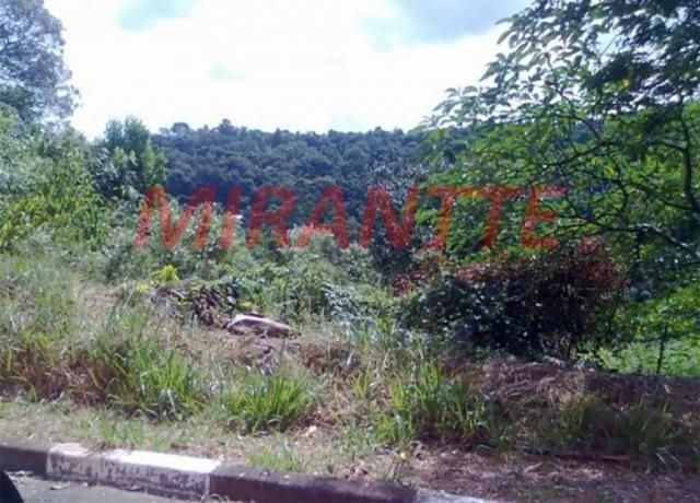 Terreno à venda em Serra da cantareira, São paulo cod:316490 - Foto 2