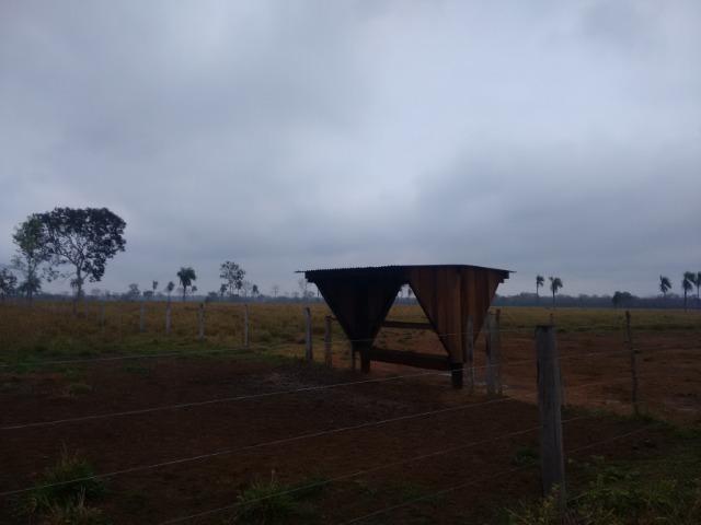 Fazenda 514 Hectares Grande Oportunidade - Poconé - MT - Foto 4