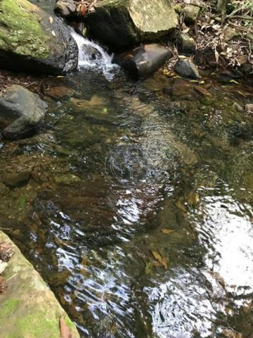 Chacara região da serra de são vicente - Foto 5