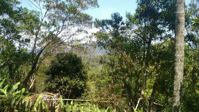 Linda Fazenda Piscicultura 50 alq ou 1.200.000 m2 beira asfalto - Foto 13