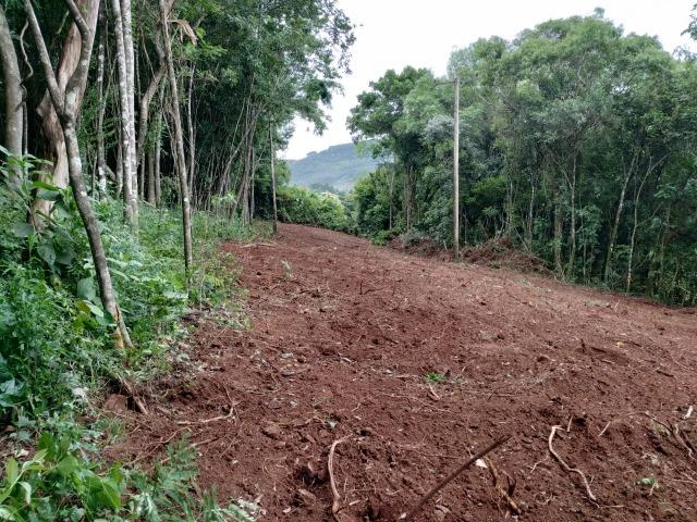Chácara em Nova Petrópolis com 5000 m² - Pinhal Alto - Foto 7