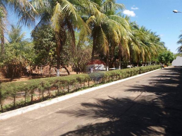 Terreno para locação em avenida padre cícero - Foto 5