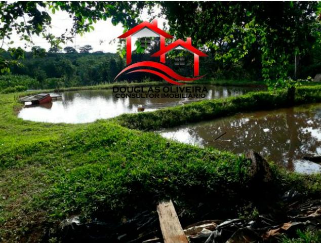 Sitio de 23 Alqueires em Pedregulho - Foto 2