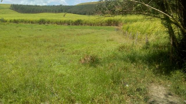 Fazenda - Foto 14