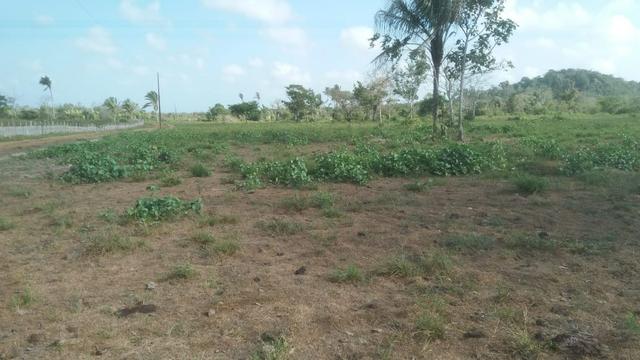 Fazenda - Foto 4