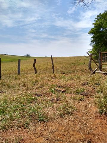 Sitio á venda em Fernandópolis - Foto 11