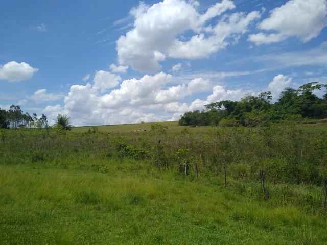 Sitio á venda em Fernandópolis - Foto 20