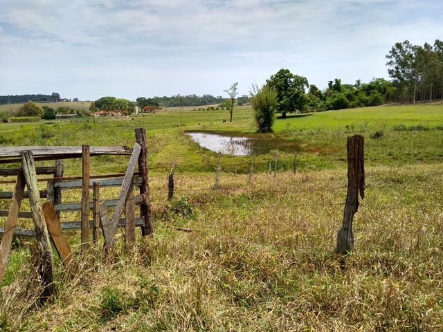 Sitio á venda em Fernandópolis - Foto 7