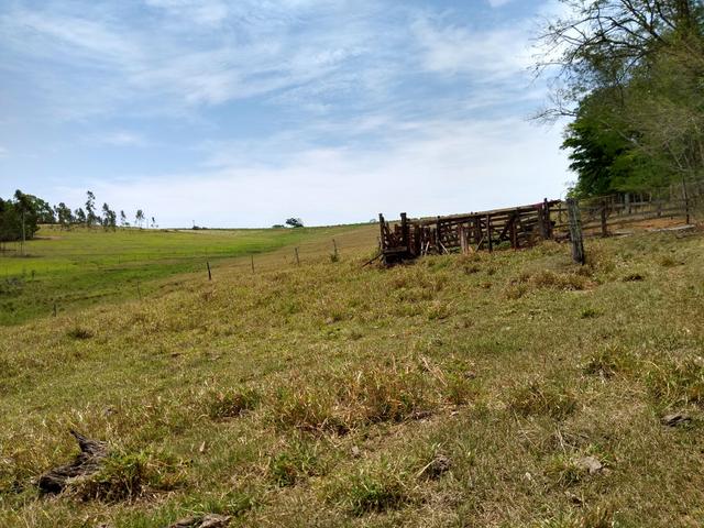 Sitio á venda em Fernandópolis - Foto 4