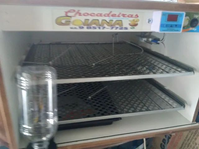 Chocadeira automatica para 240 ovos