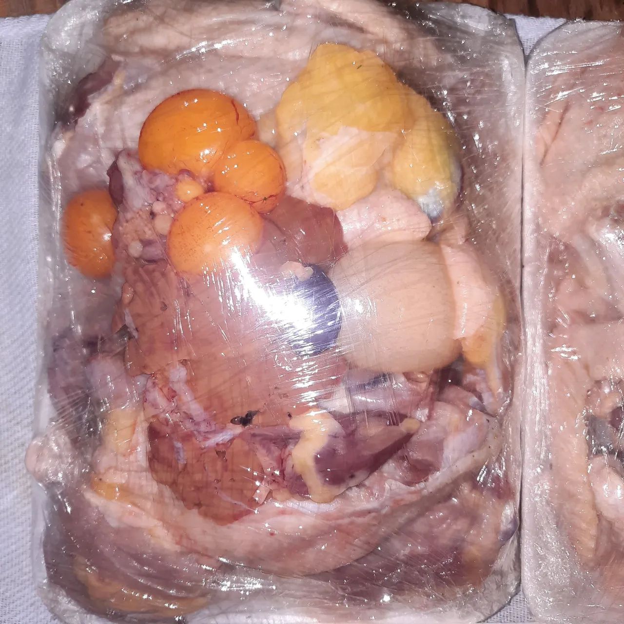 Galinhas caipiras poedeiras