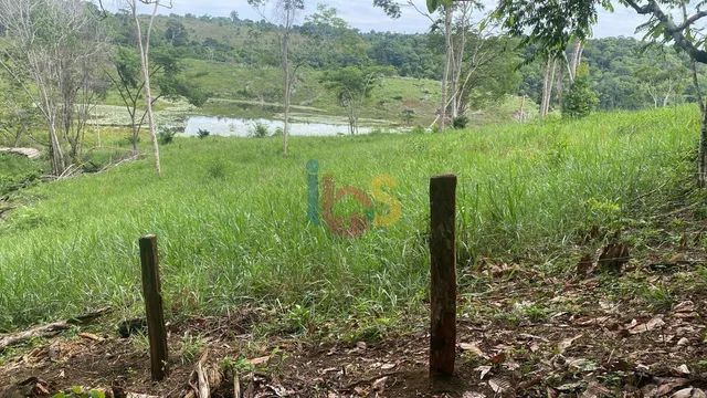 Vendo Fazenda Campo Grande - Foto 2