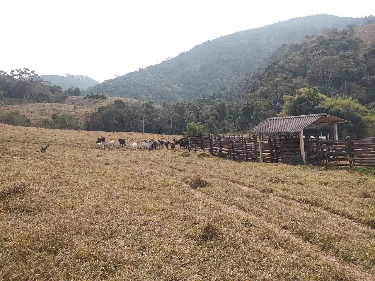 Grande oportunidade 139 hectares. - Foto 2