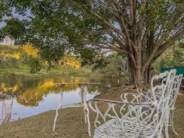 Temporada na natureza - Chacara com lago - Foto 11