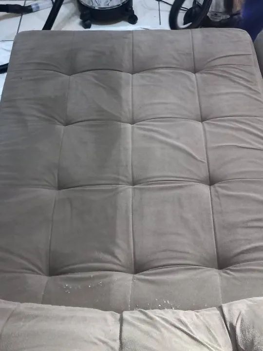 Higienização profissional  - Foto 3