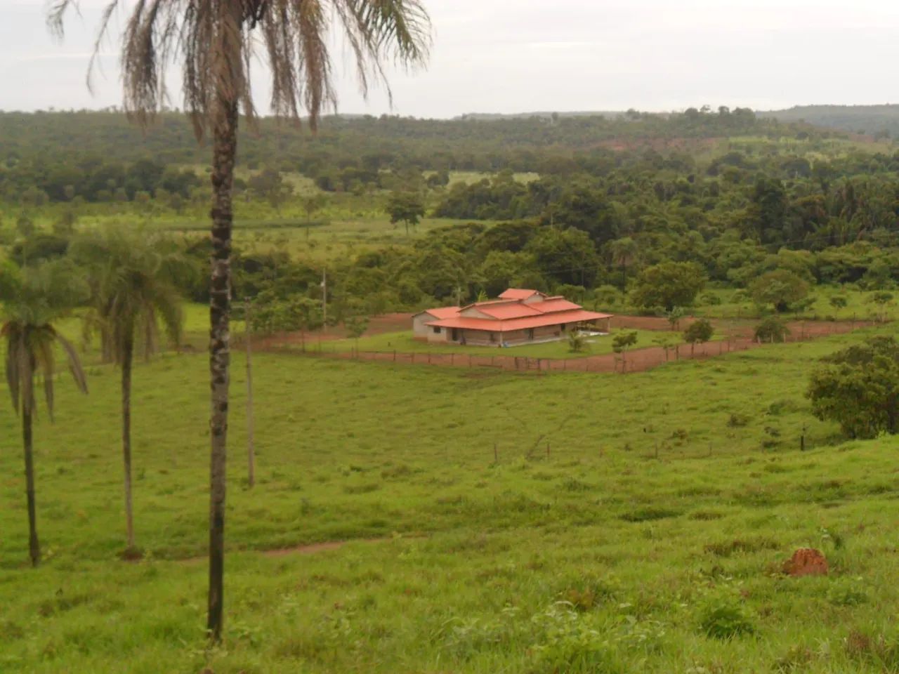 Fazenda em Aparecida do Rio Negro. 28 alqueires. - Foto 3