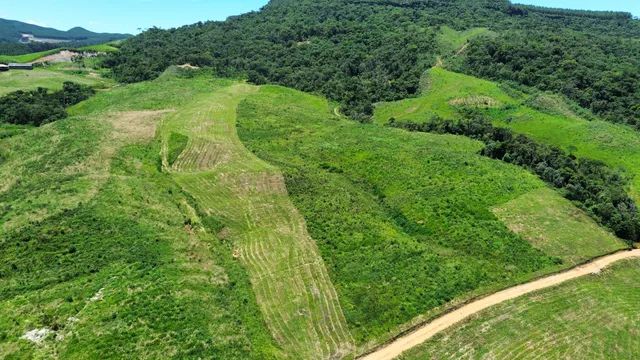 Vende sítio  - Foto 2