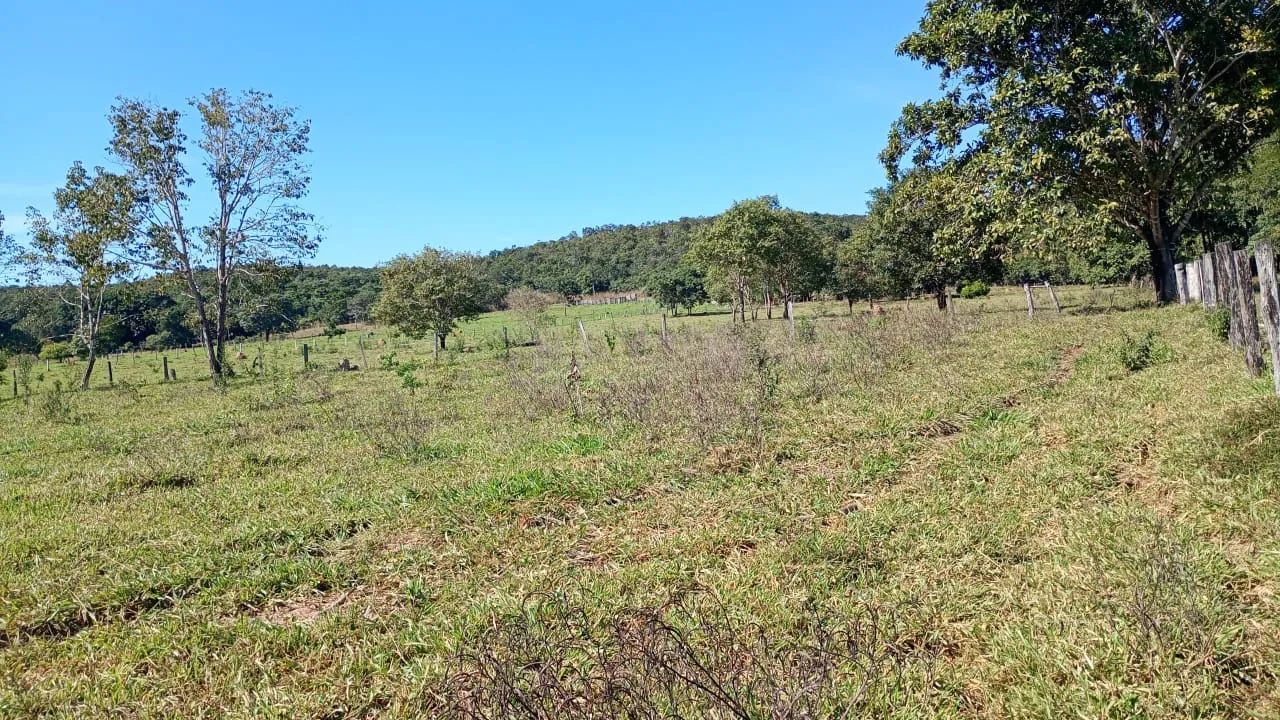 VENDO SITIO PORTEIRA FECHADA  30,6 HECTARES  - Foto 4