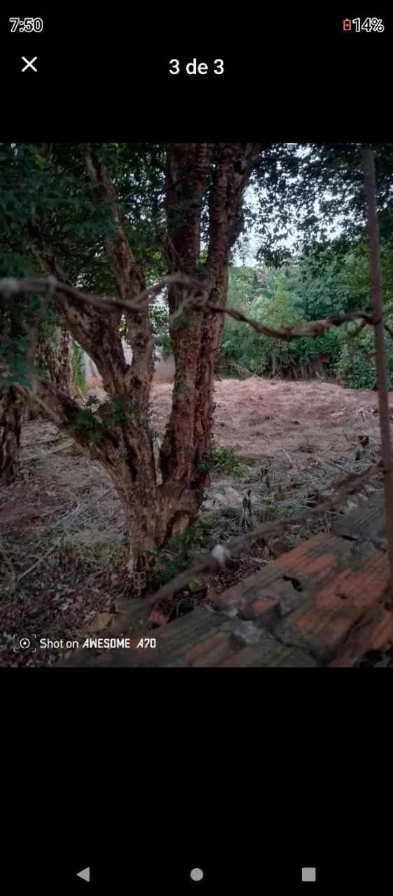 Terreno em Nova Esperança a 40min de Maringá