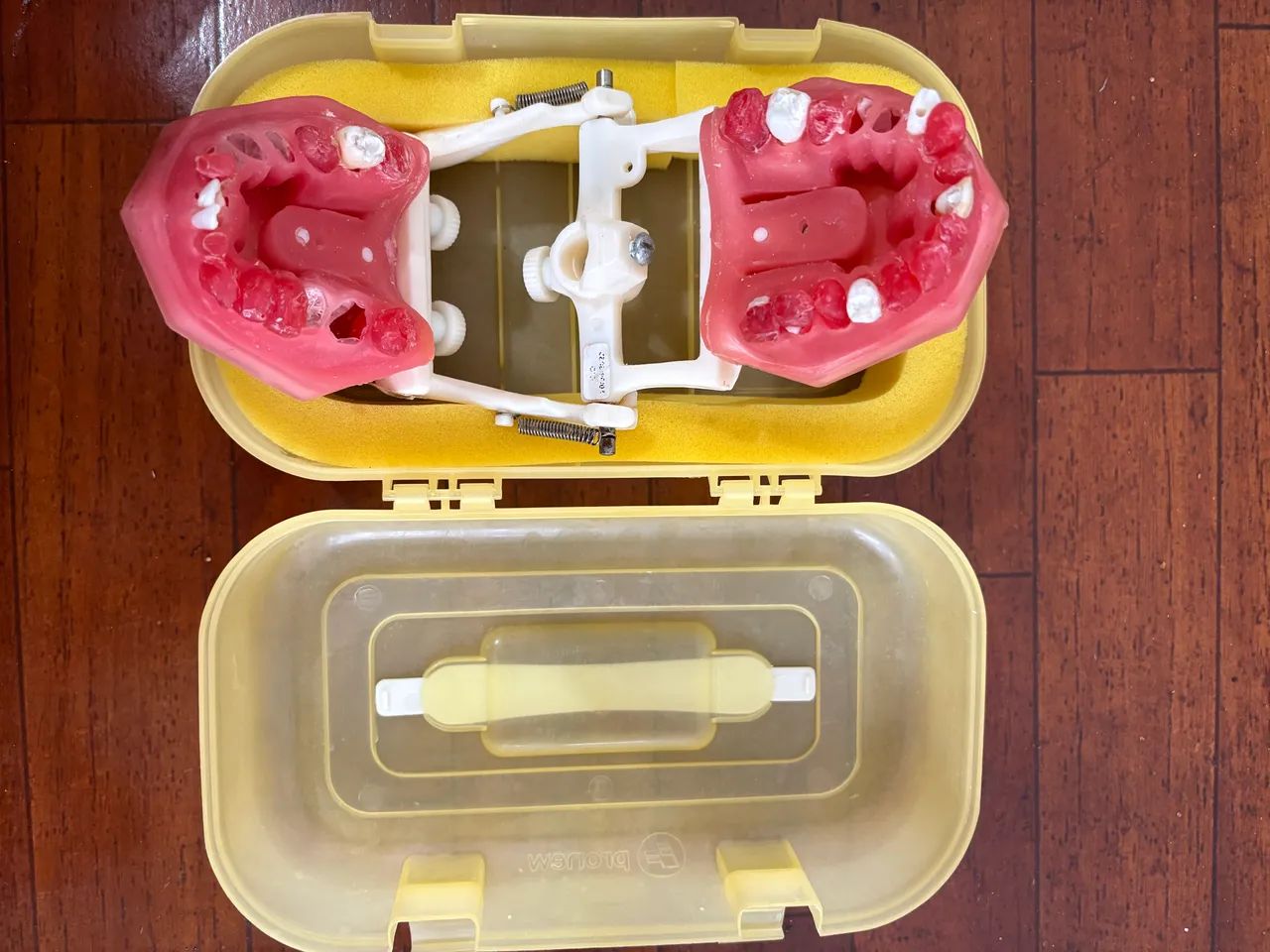 Manequim Endodontico Pronew