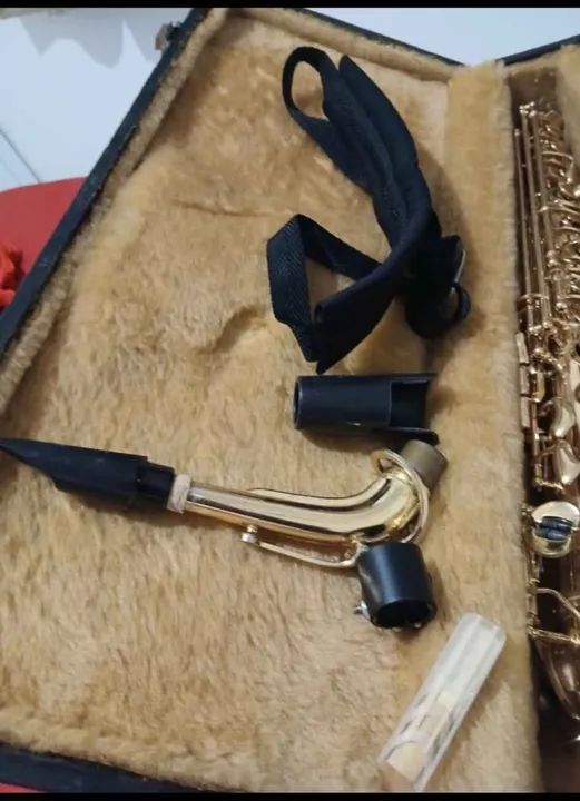 Saxofone Alto - Marca Weril - Foto 2