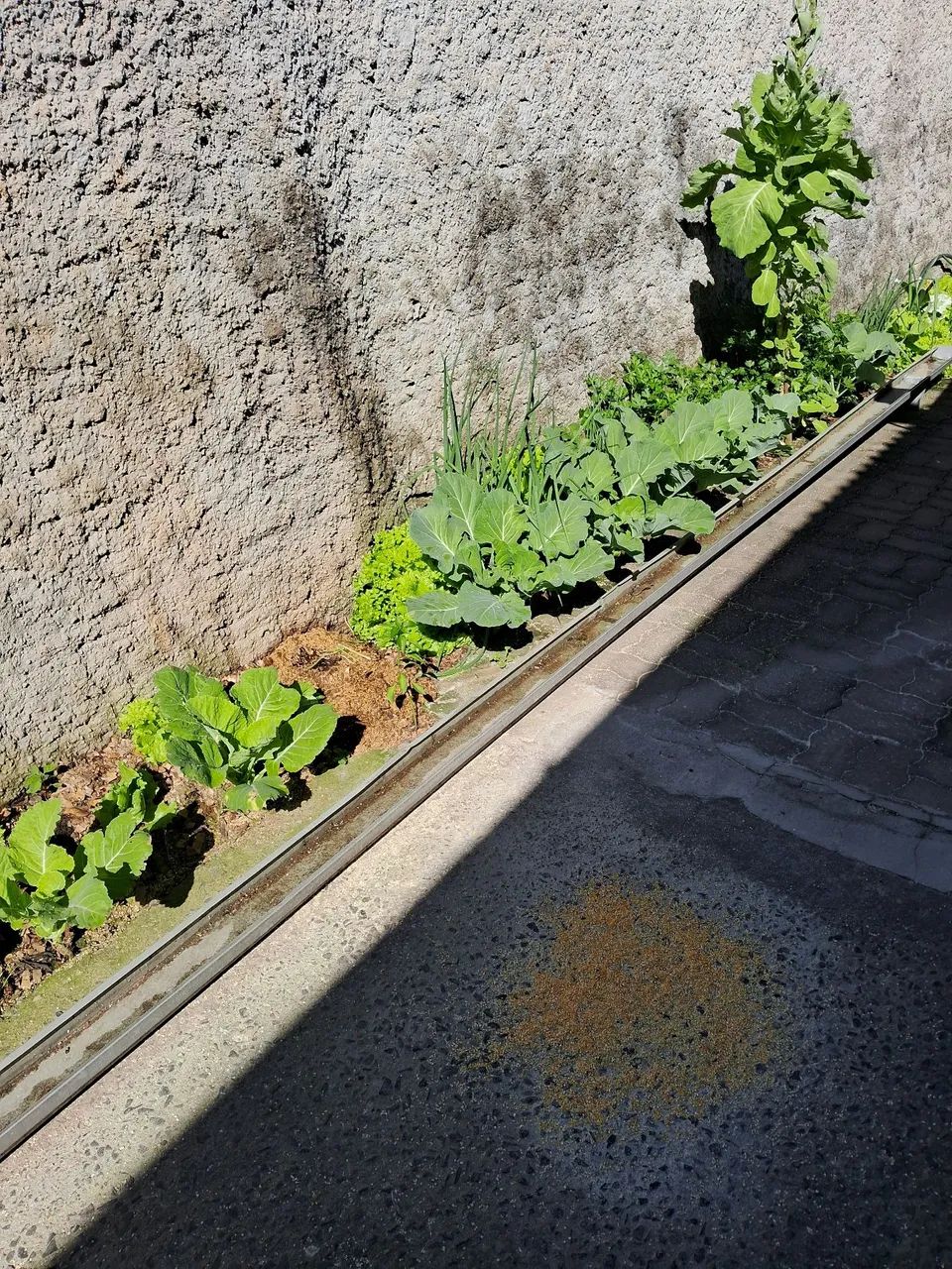 Calha 64419089877251122