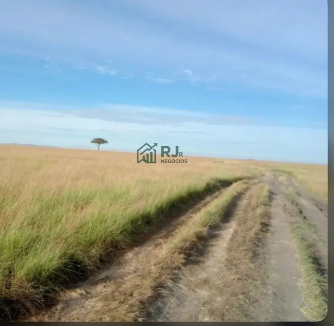 Fazenda à Venda com 76 alq. Distrito Guaravera - Foto 4