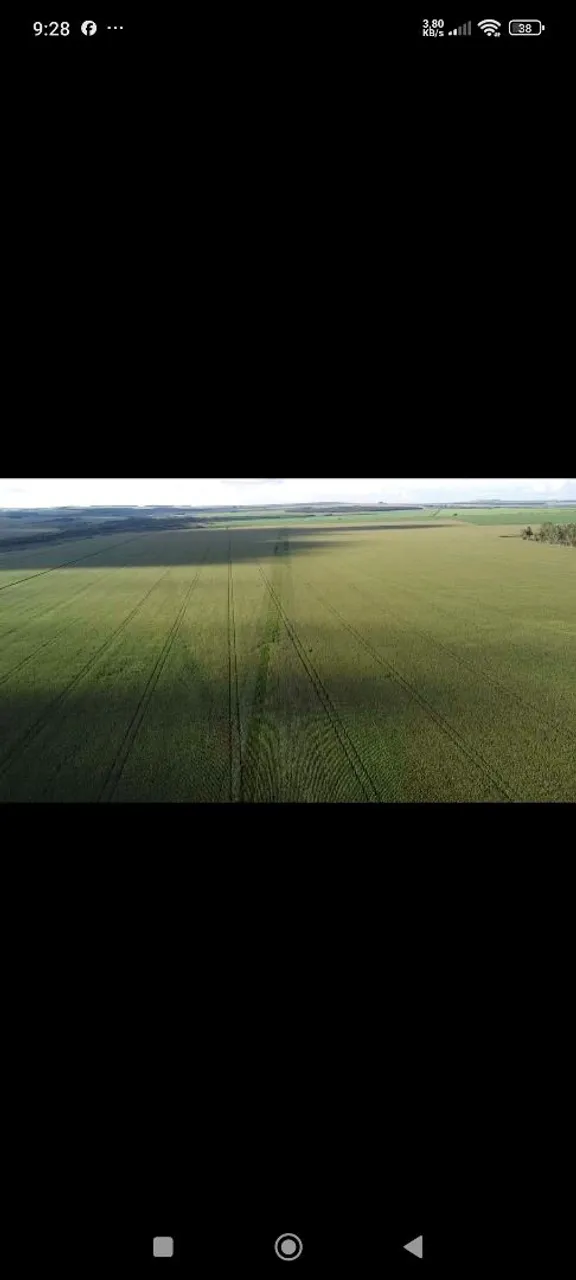 Fazenda arrendamento 740hec em Maracajú MS. Ágio 2 milhões.