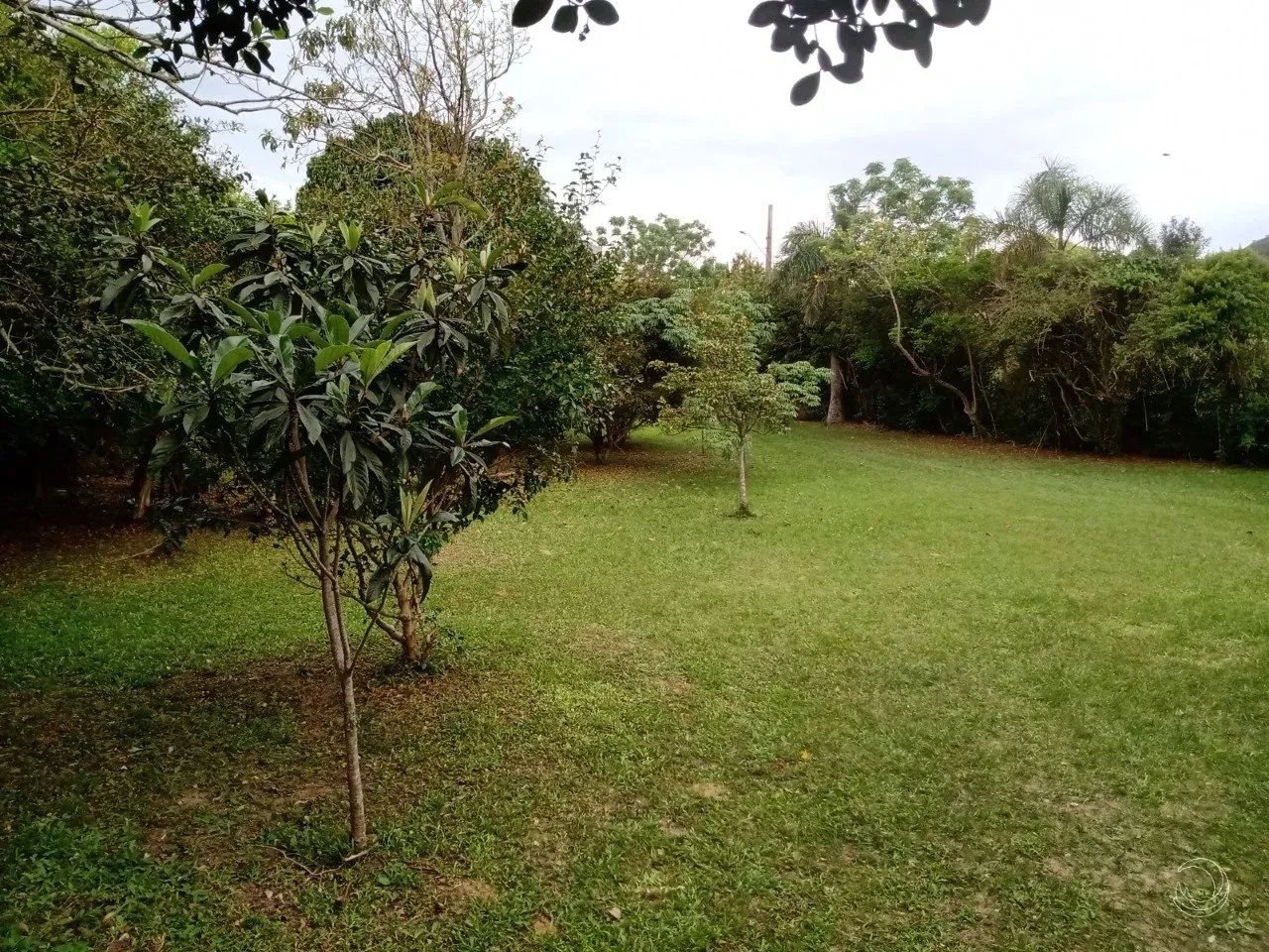 terreno com área 1.414,03m² no bairro Santinho em Florianopolis - Foto 3