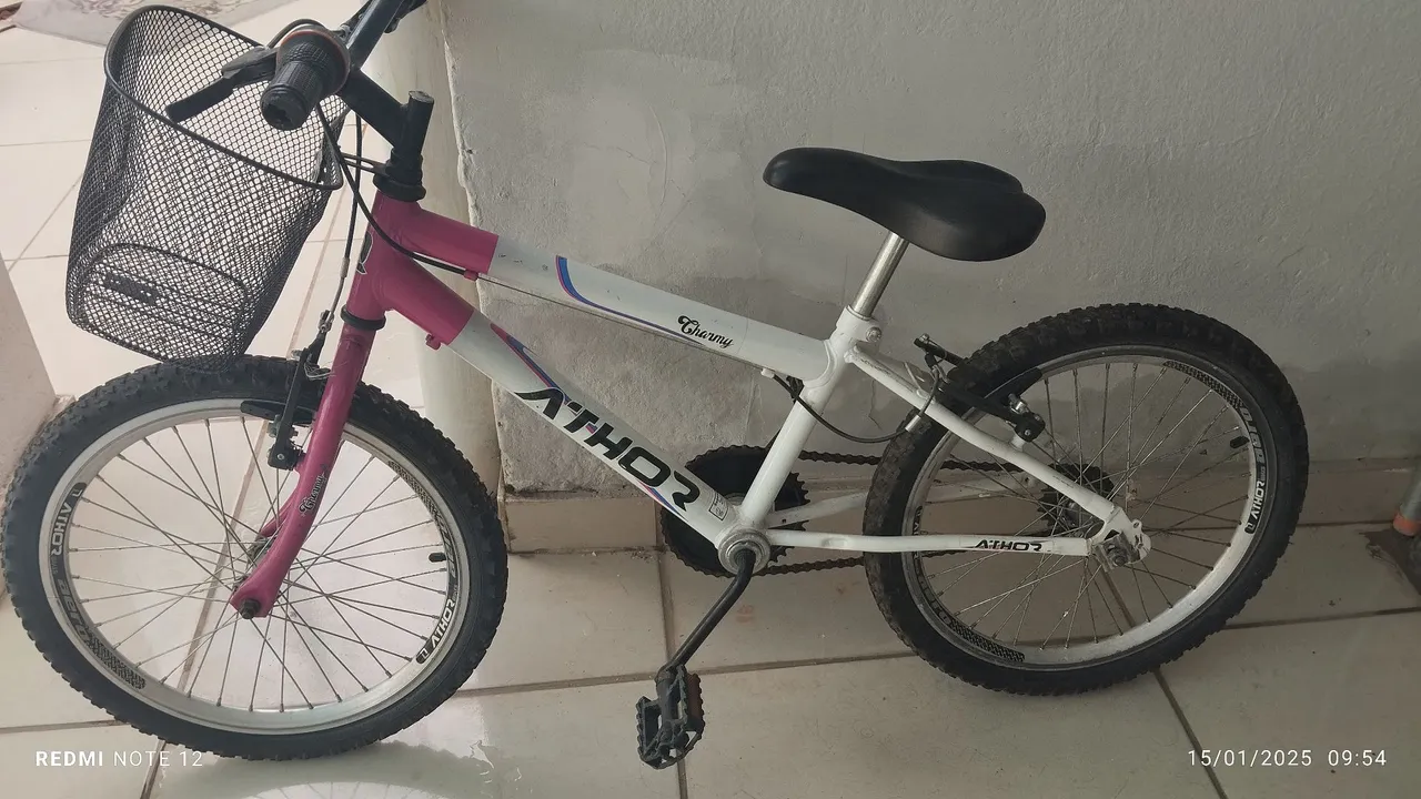 Bicicleta Infantil Aro 20 Athos Charmy