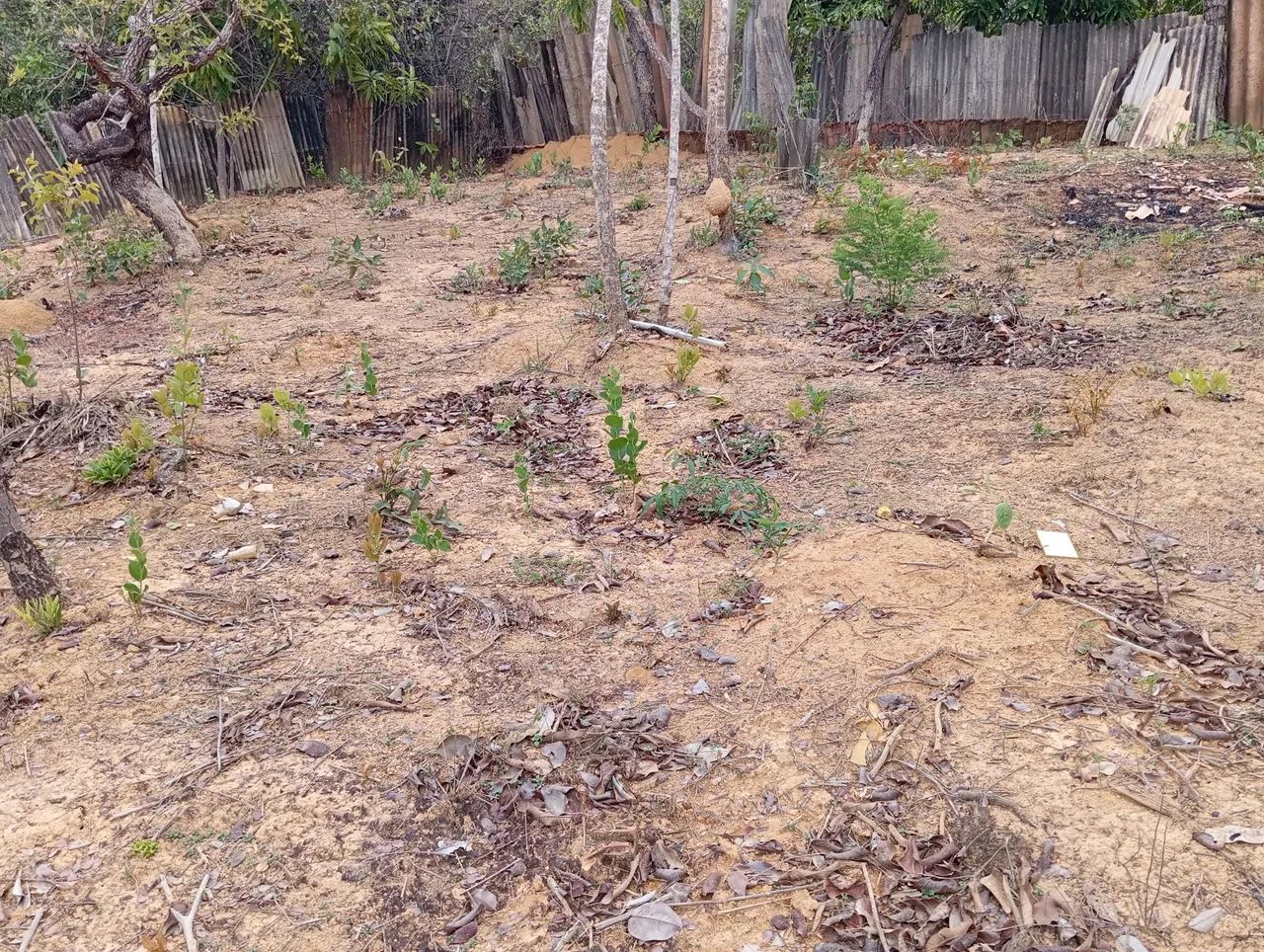 Chácara 10 min Parque Municipal,Aceita Imovel até 120 .000 e volta Diferença!!! - Foto 9