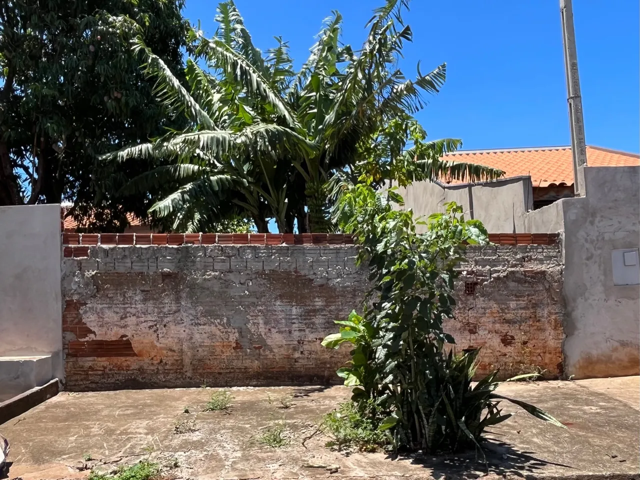 VENDO TERRENO FLORESTA (PR)