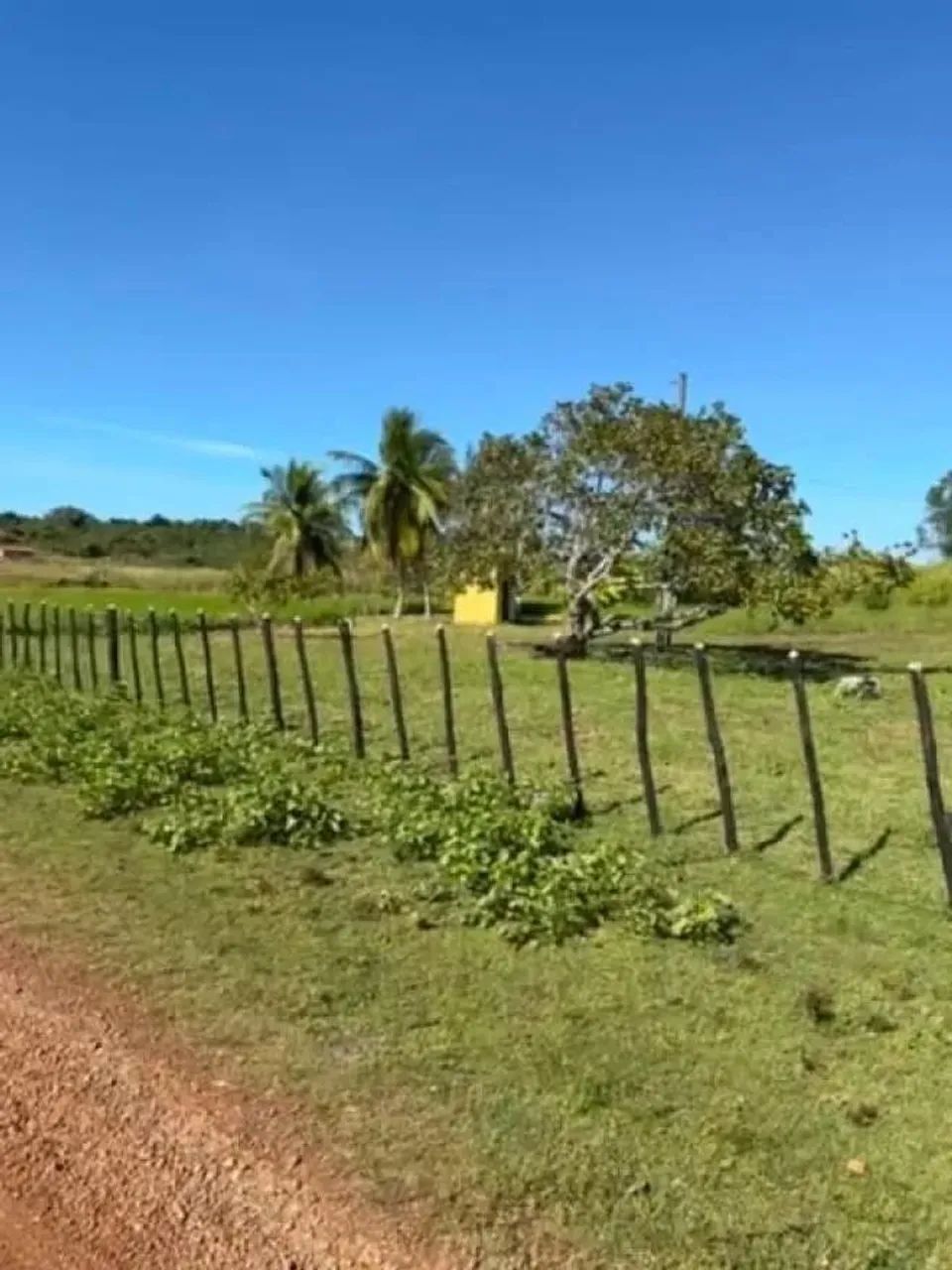 Excelente Terreno a venda em JOSE DE FREITAS - Foto 5
