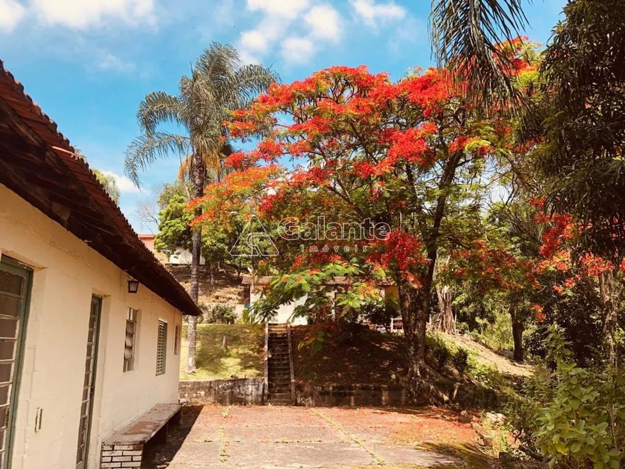 sítio - Jardim Seabra - Amparo - Foto 15