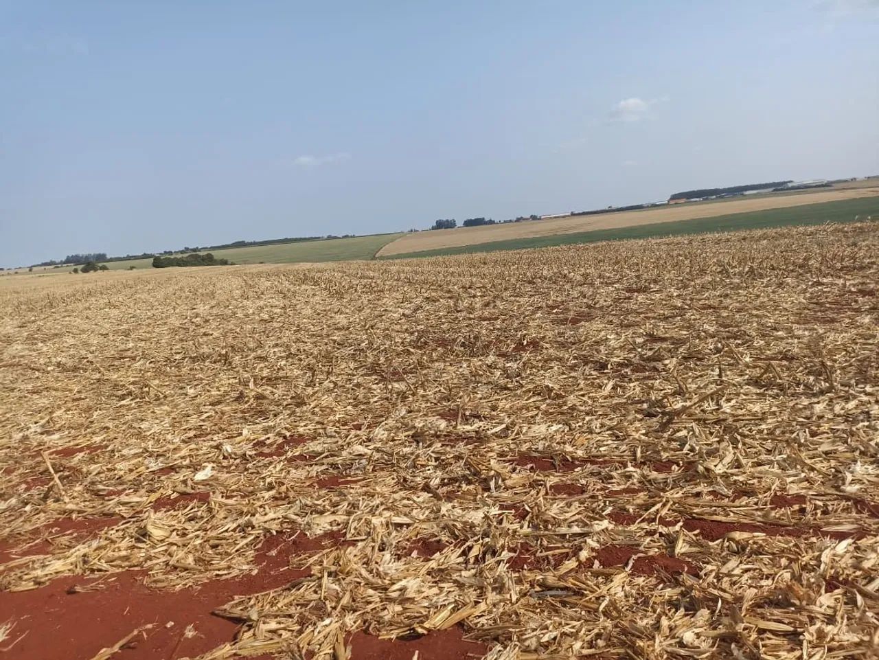 Fazendinha 78 alqueiro  - Foto 4