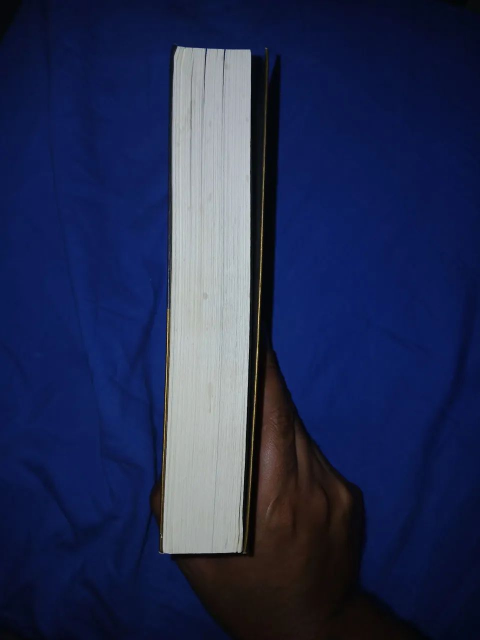 Livro Caio Fernando Abreu Cartas - Italo Moroconi Organização  - Foto 3