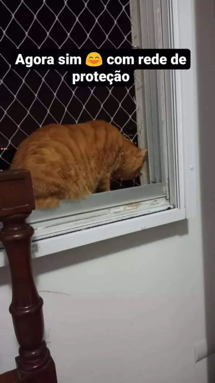Tela de proteção - Foto 3