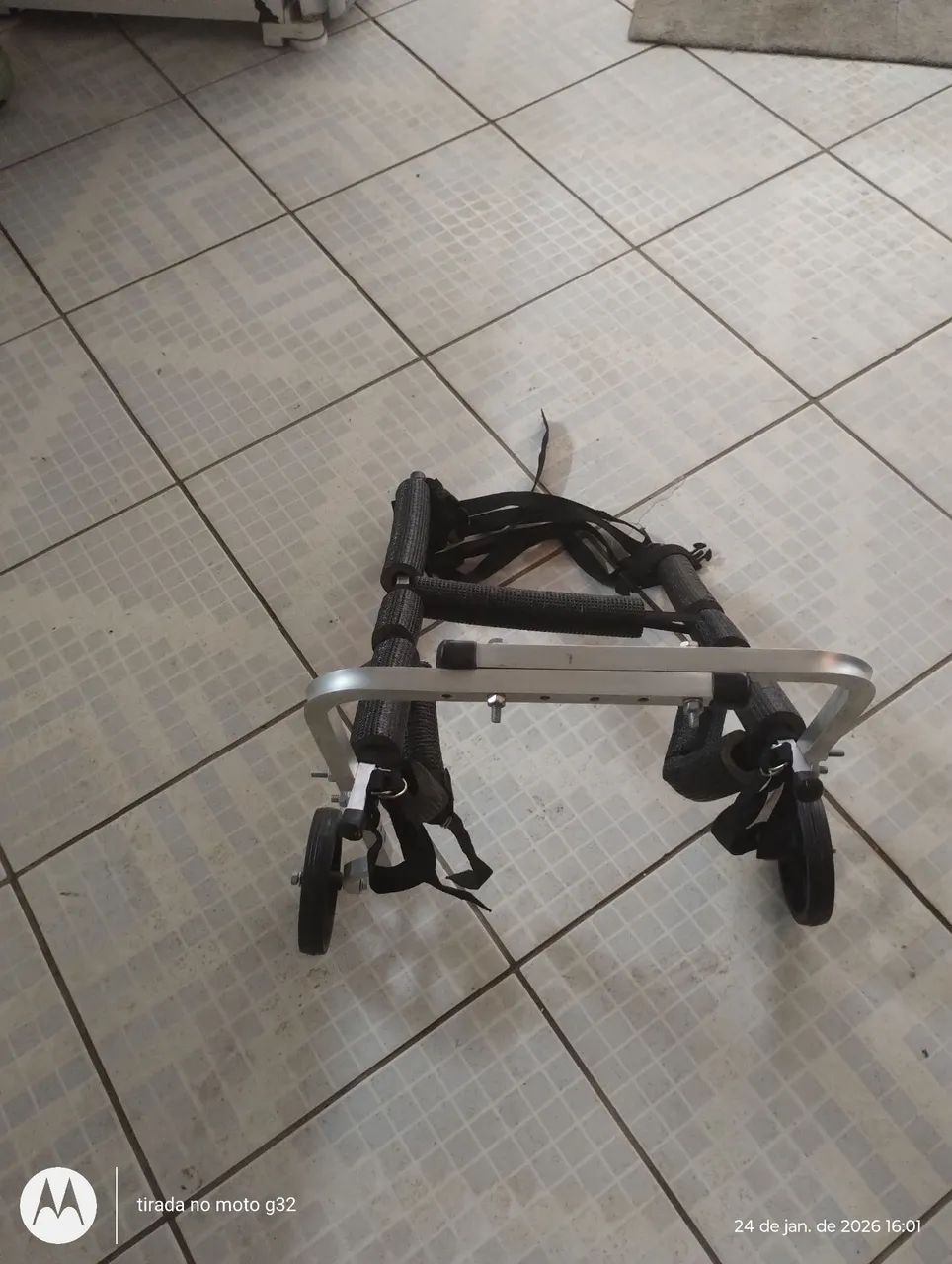 Cadeira de rodas para cachorros. 