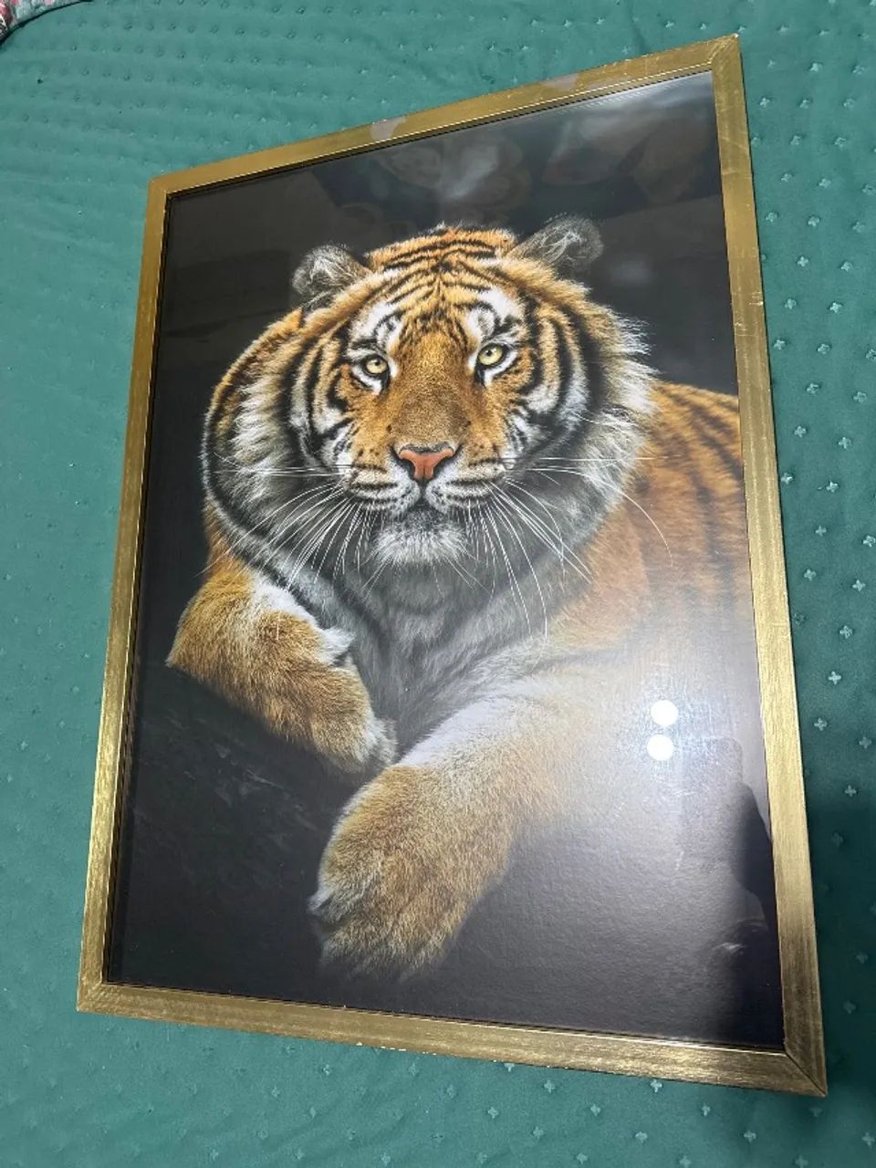 Quadro Tigre com vidro