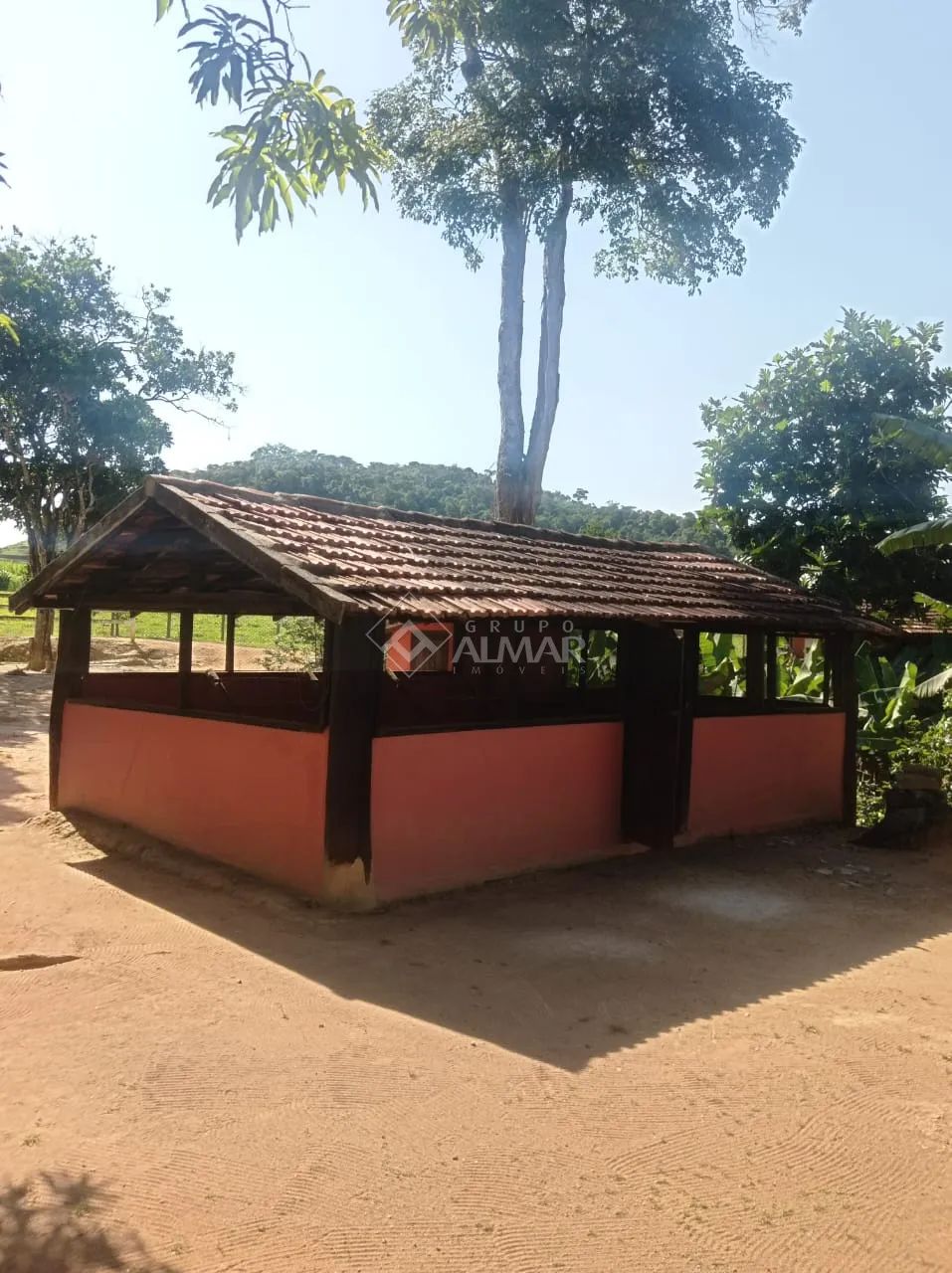 Chácara / Sítio / Granja 8 quartos - Tebas - Foto 5