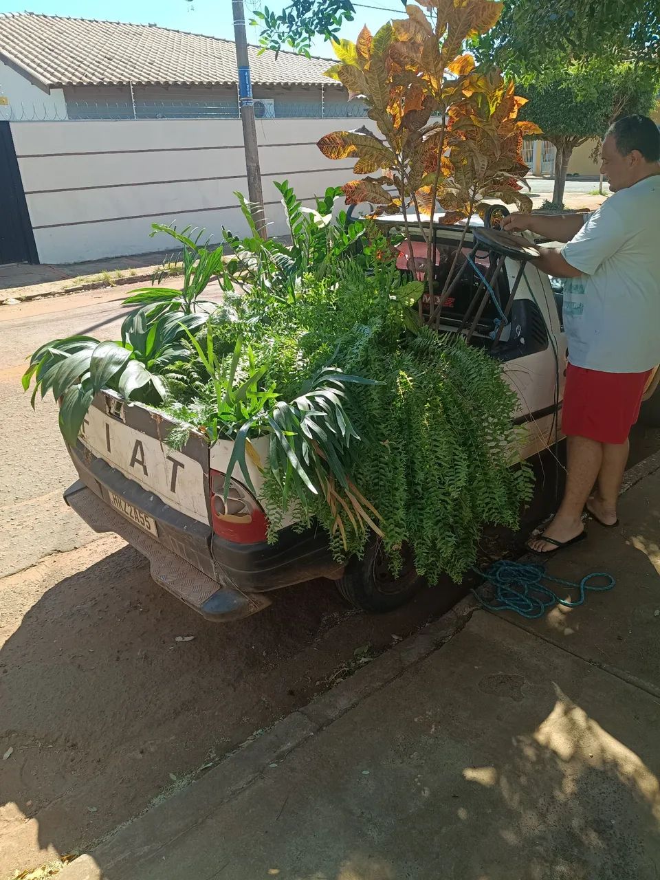 Freta Rápido  - Foto 2