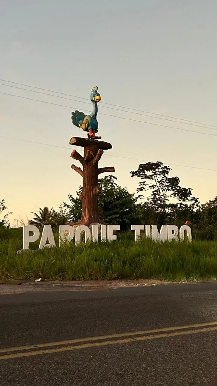 Lote 20×30 600m2 - Foto 2