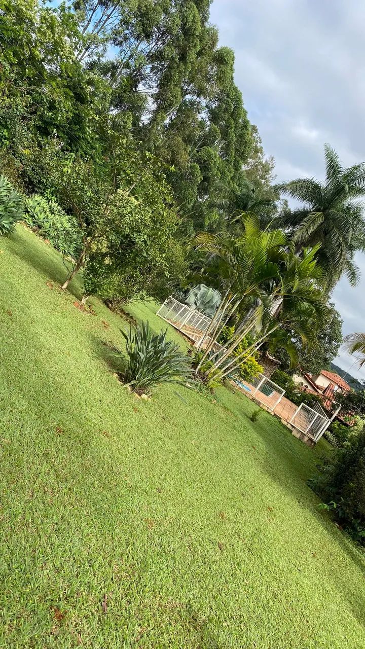 ROÇAGEM/PODA DE ÁRVORES  - Foto 3