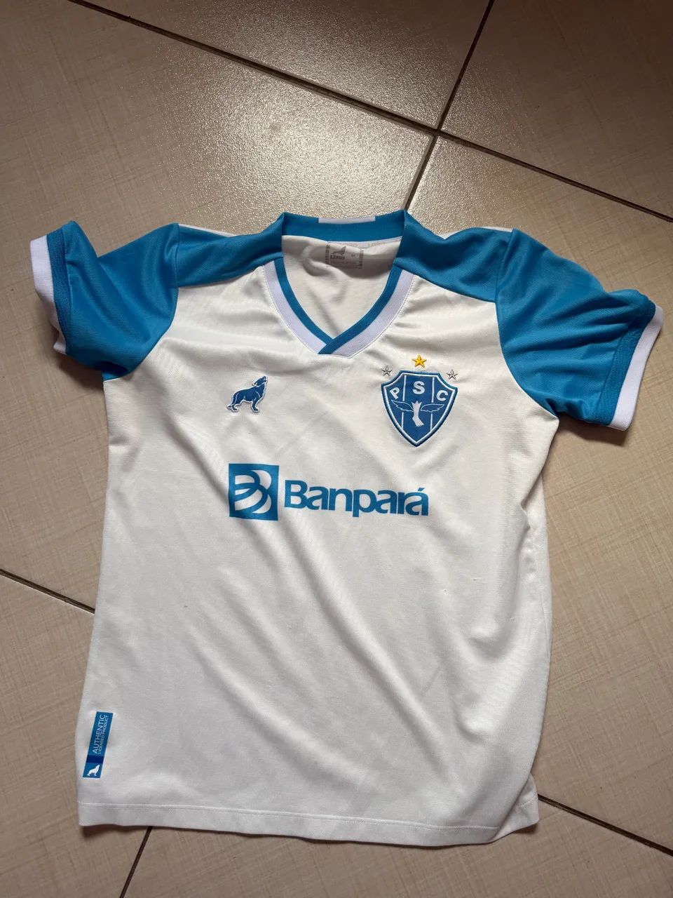 Camisa paysandu feminina 